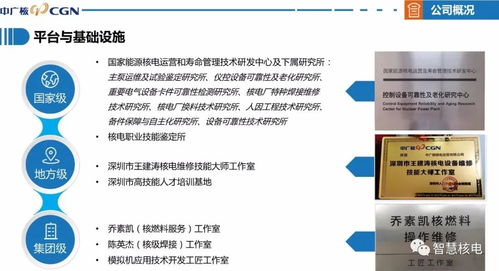 喜訊 公司成功通過國家高新技術(shù)企業(yè)認(rèn)定，技術(shù)服務(wù)獲權(quán)威認(rèn)可