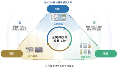 海大國際遞表港交所 分拆自海大集團，2024年凈利潤強勢翻倍